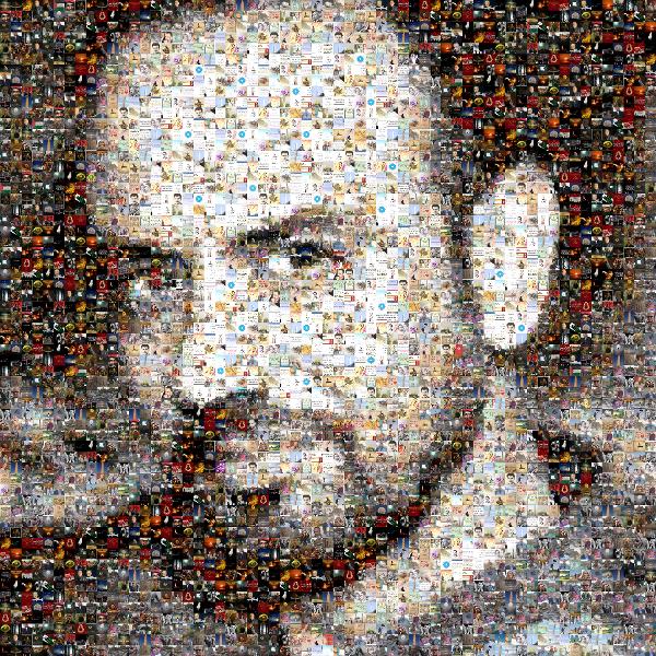 Chin photo mosaic