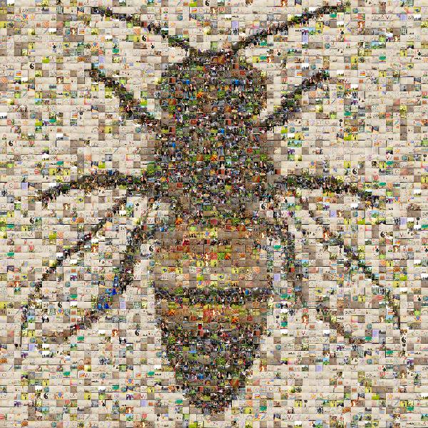 Bee photo mosaic