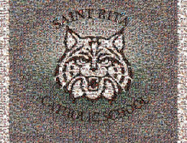 Saint Rita Catholic School photo mosaic
