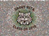 class of 2018 years numbers letters text words pride graduation graduating schools education students logos mascots icons symbols