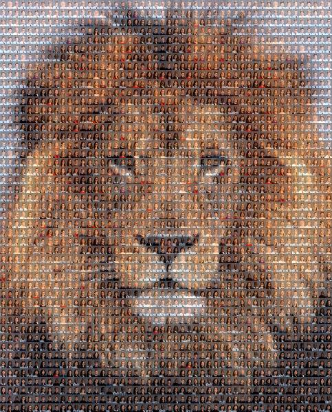 Bold Lion photo mosaic