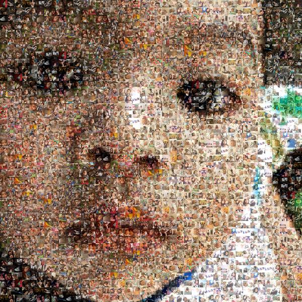 Up-close With The Baby! photo mosaic