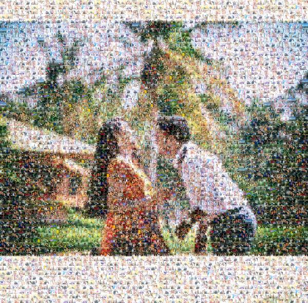 Honeymoon photo mosaic