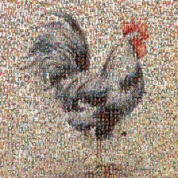 Rooster photo mosaic