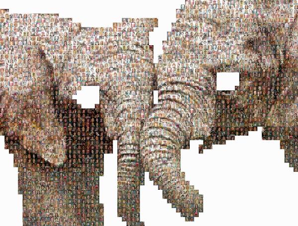 African bush elephant photo mosaic