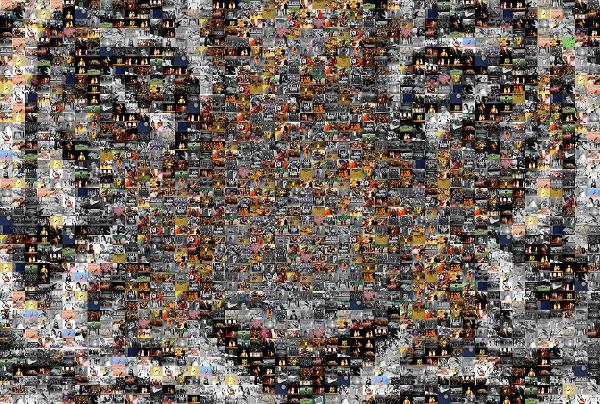 Wildlife photo mosaic