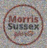 Mini Zoo Font Logo Circle Brand Graphics Signage Electric blue Sign Trademark