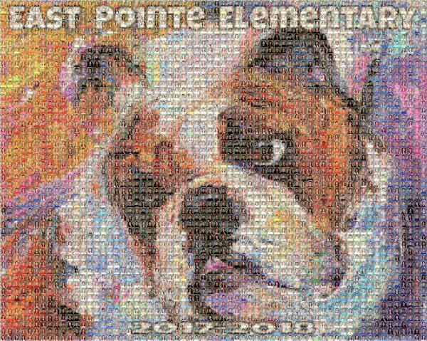 East Pointe Elementary photo mosaic