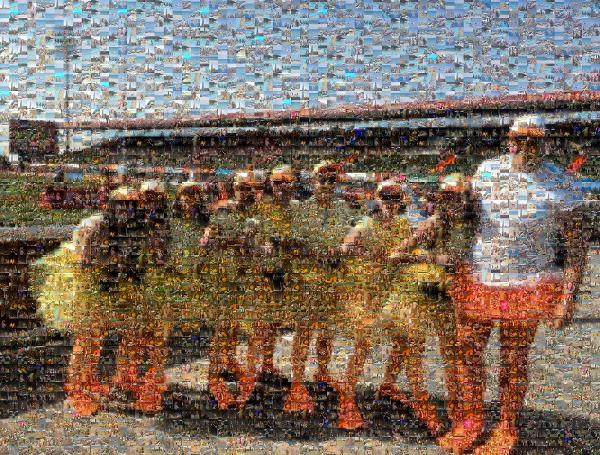 Group Photo photo mosaic