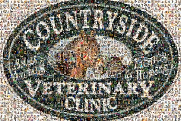 Countryside Veterinary Clinic photo mosaic