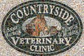 veterinary veterinarian doctors words text letters shapes ovals logos graphics animals pets care clinics health