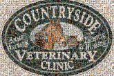 Countryside Veterinary Clinic veterinary veterinarian doctors words text letters shapes ovals logos graphics animals pets care clinics health
