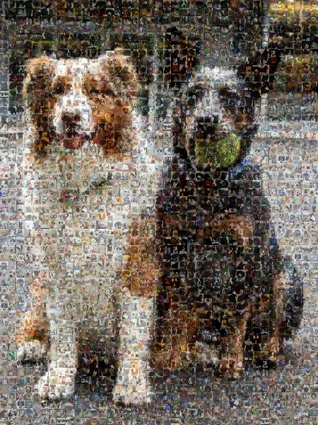 Playful Pups photo mosaic