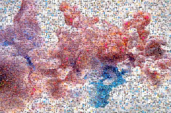 A Burst of Color photo mosaic