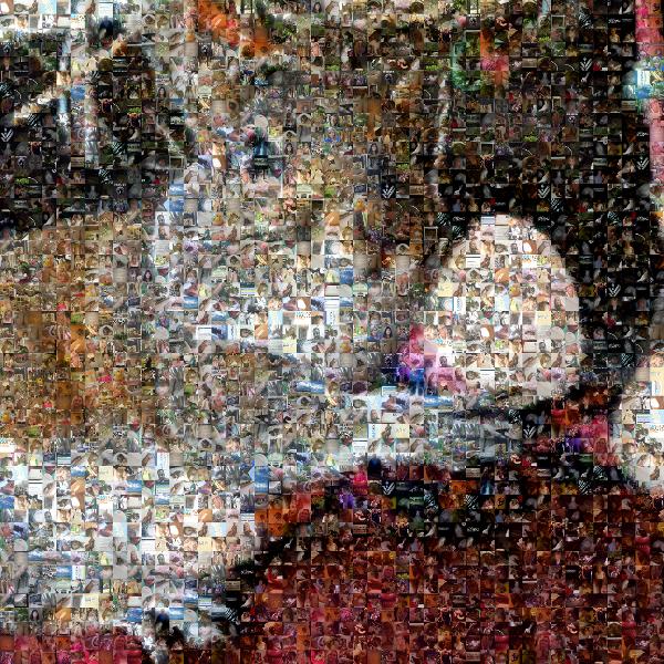 Pet Squirrel photo mosaic