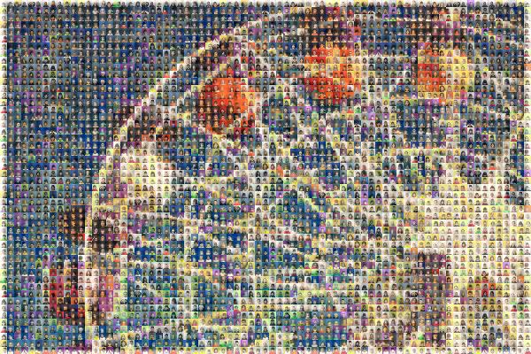 Student Ferris Wheel photo mosaic