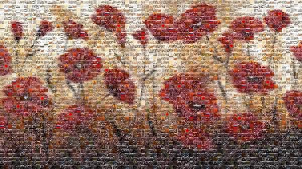 Field of Flowers photo mosaic