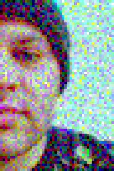 Cropped Portrait photo mosaic