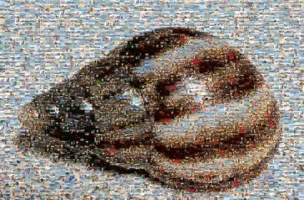 Seashell photo mosaic