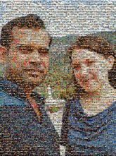 Tree Tree Recreation