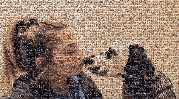 Dalmatian dog photo mosaic