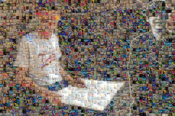 Human behavior photo mosaic