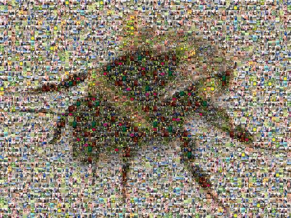 Bees photo mosaic