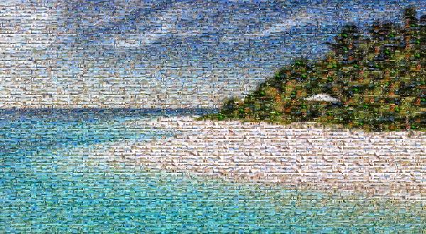 Dog Beach photo mosaic