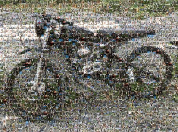 Tire photo mosaic