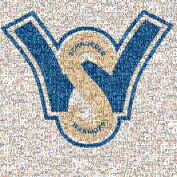 Webster Schroeder High School photo mosaic