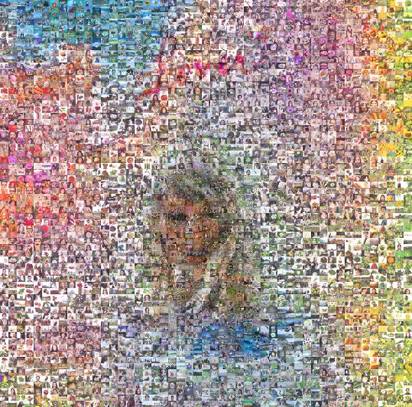 Taylor Swift photo mosaic