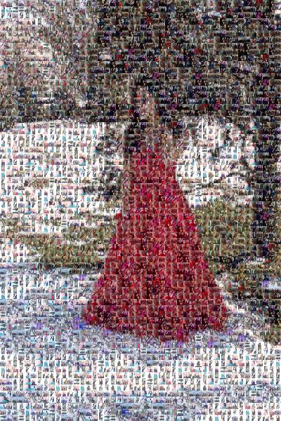 Gown photo mosaic