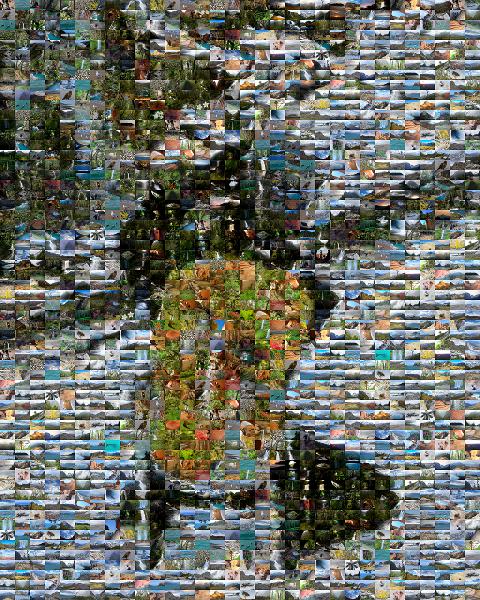 Mountaineer photo mosaic