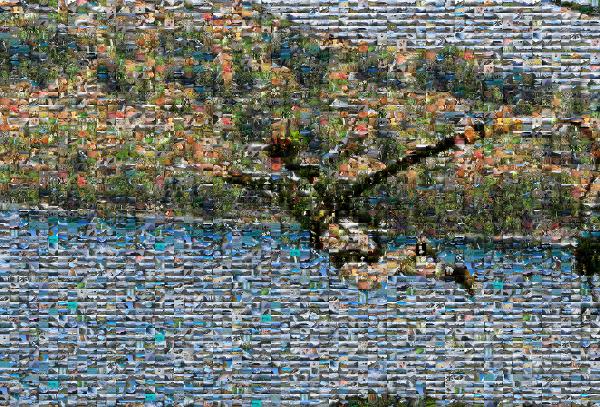Bungee jumping photo mosaic