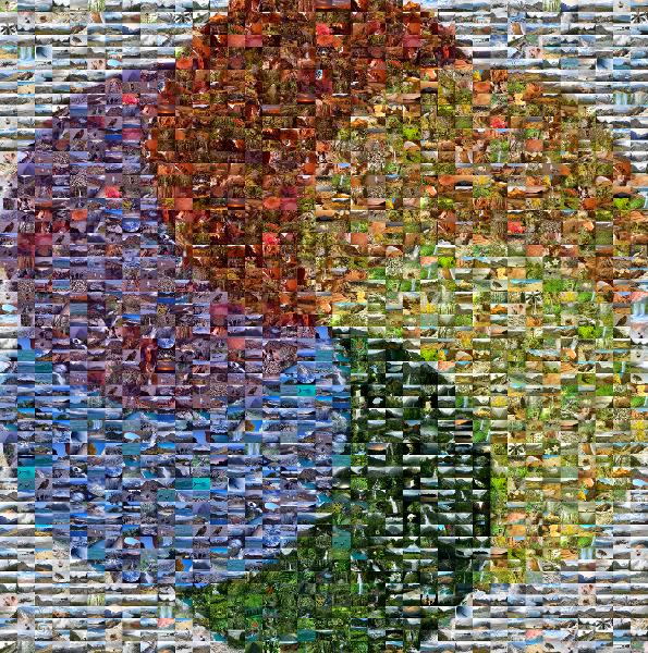 Clip art photo mosaic