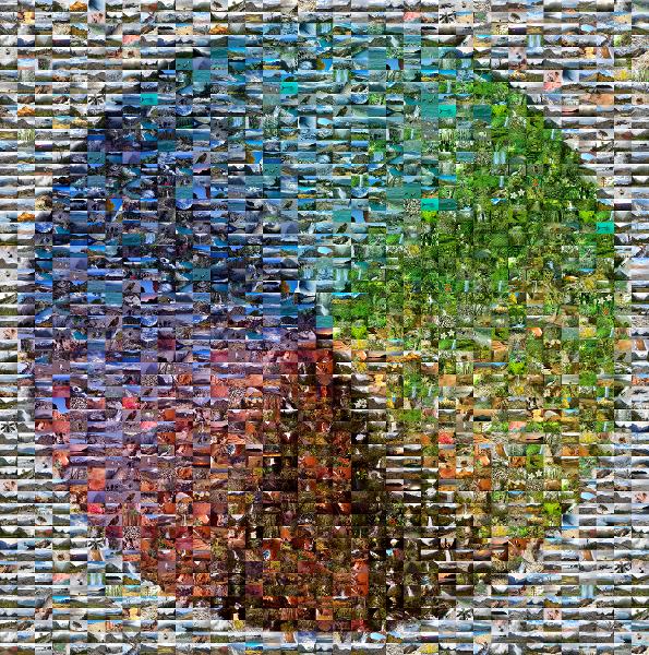 Color wheel photo mosaic