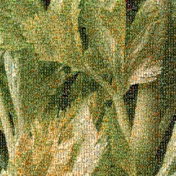 Vegetable photo mosaic