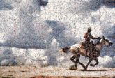 Untitled (cowboy) Cowboy Solomon R. Guggenheim Museum Spiritual America Untitled (Cowboy) Photography Artist Art Photograph Horse Sky Rein Bridle Recreation Cloud Fun Animal sports Stallion
