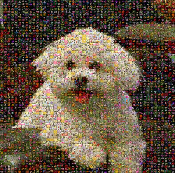 Bichon Frise photo mosaic