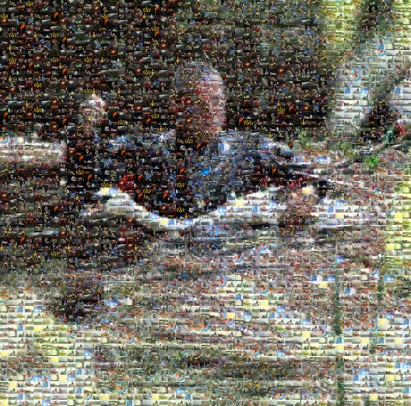 Vertebrate photo mosaic