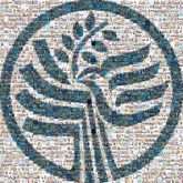 United States Institute of Peace U.S. Institute of Peace Peace Conflict Turquoise Logo Graphics Circle
