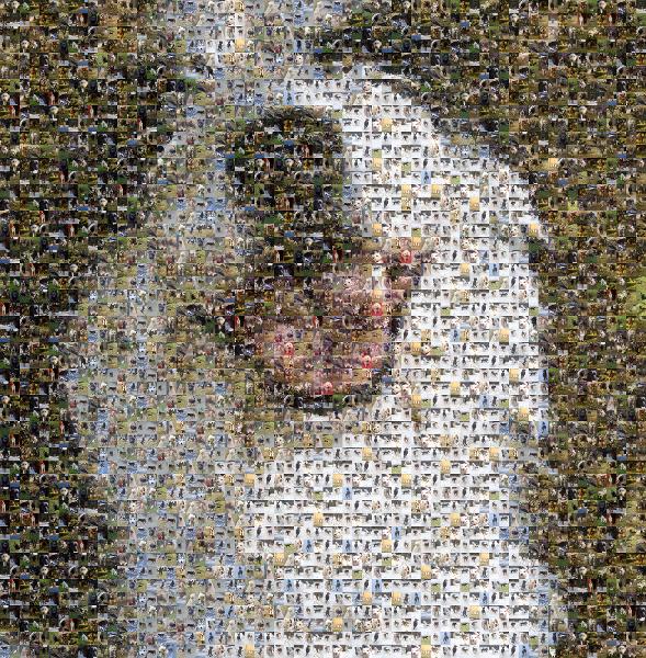 Sapsali photo mosaic