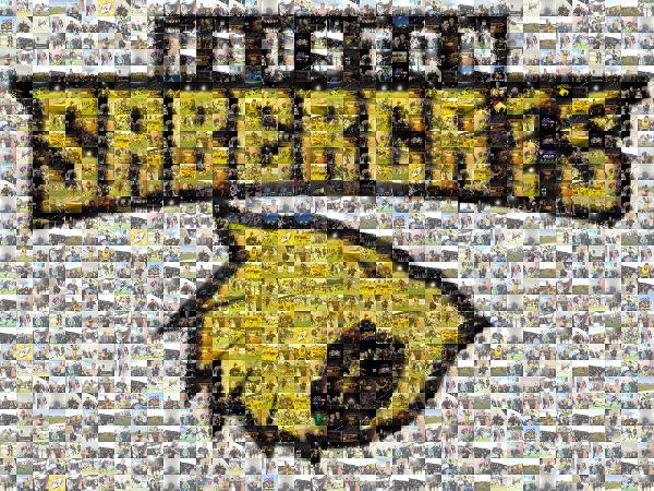Houston SaberCats photo mosaic