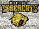 Houston SaberCats Major League Rugby Logo Graphics