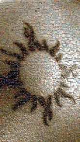 Olive ridley sea turtle Olive ridley sea turtle Common snapping turtle Sea turtles Turtles Leatherback sea turtle Chelonoidis Snapping Turtles Sun Sunrise Sunset Shadow Evening Backlighting Heat Lens flare