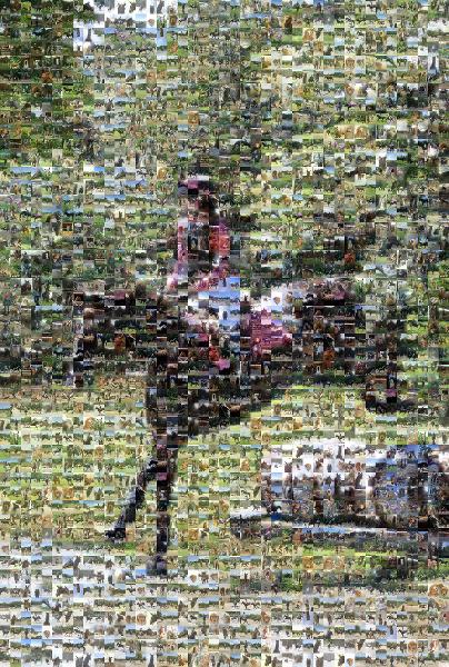 Eventing photo mosaic