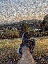 Tree Sky Footwear Grass Leg Morning Sunlight Human leg Grass family Leaf Shoe