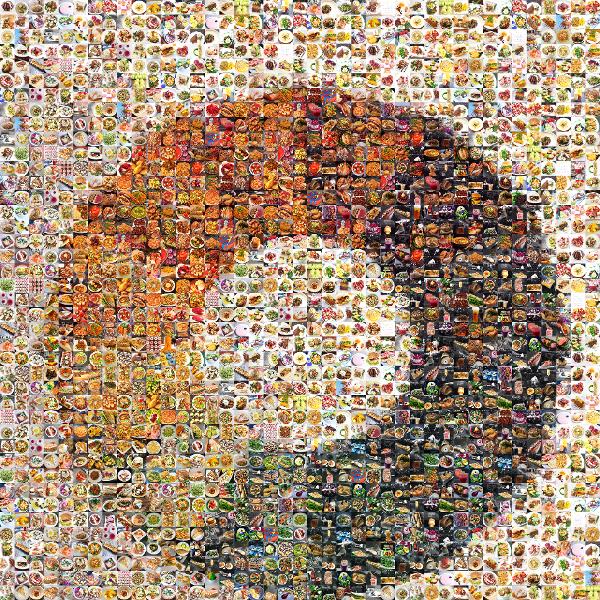 Theory of Colours photo mosaic