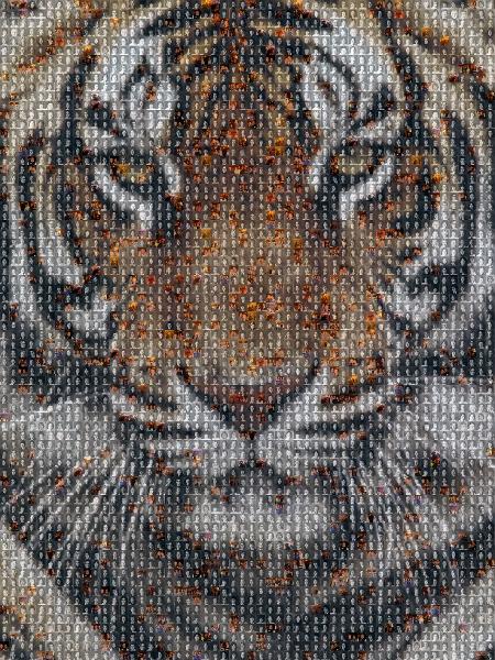 Bengal cat photo mosaic