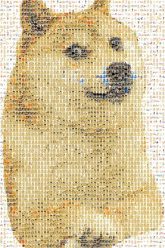 Doge Portable Network Graphics Shiba Inu Image Meme Mammal Vertebrate Canidae Dog breed Canaan dog Carnivore Hokkaido Korean jindo dog